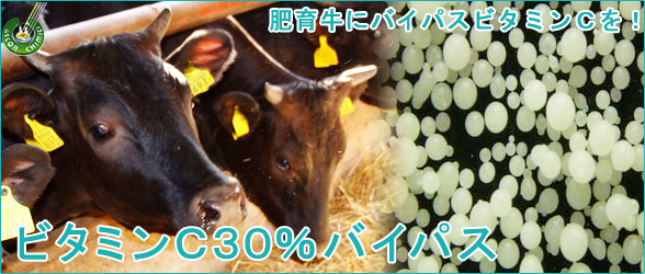 カビ毒吸着材「コンディションエイド200HPC」