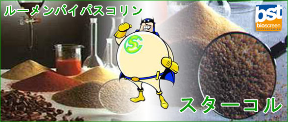 ルーメンバイパスコリン「スターコル」